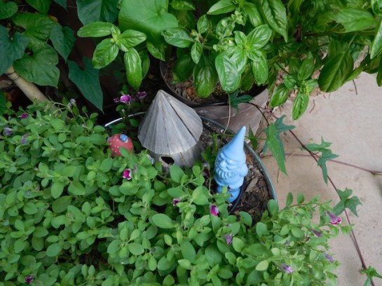 Gnome Tub-The Occupants Up Close