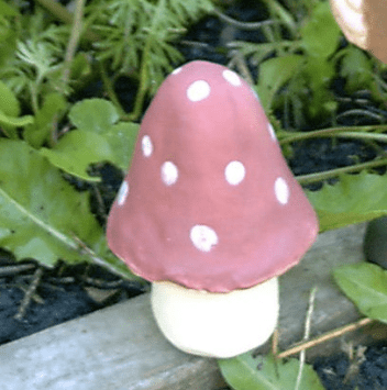 KimmelMushroom