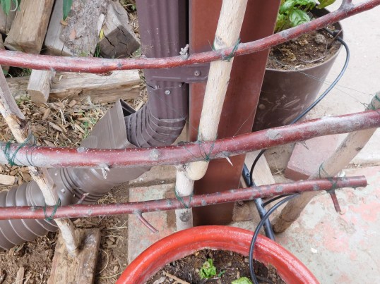 Trellis- Also Attaching to Post