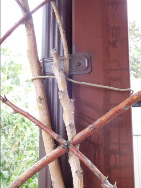 trellis-attaching-to-post-2.jpg