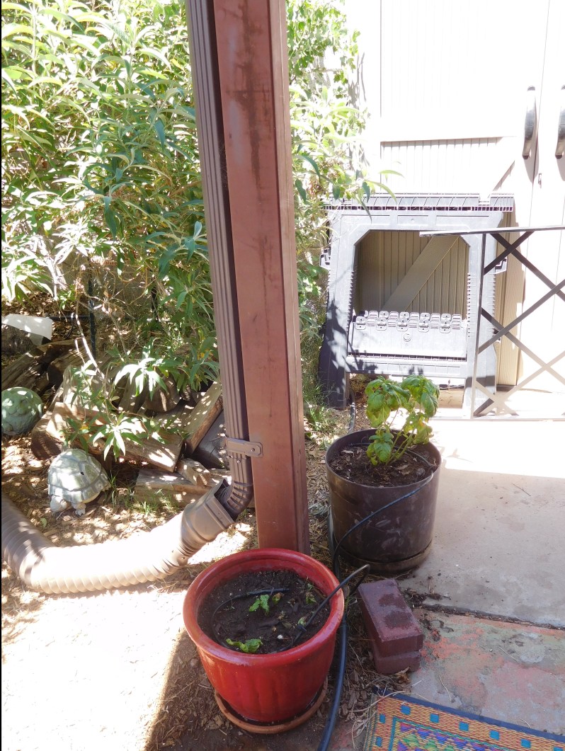 Trellis- Pot and Post